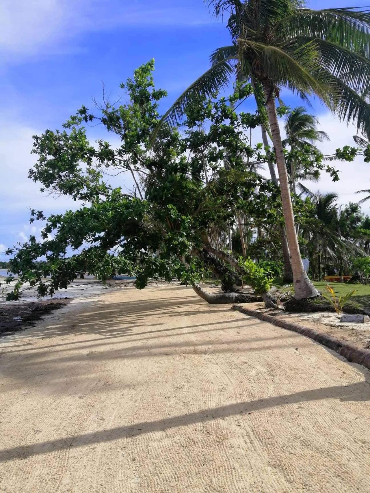 Siargao Longterm Villas - Epbliss 제너럴 루나 외부 사진